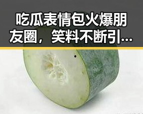吃瓜表情包火爆朋友圈，笑料不断引热议！